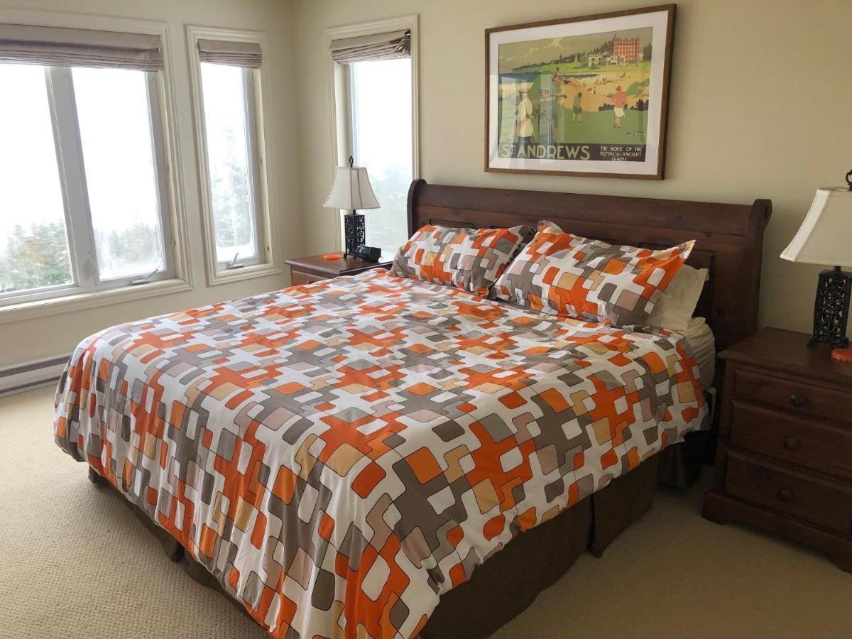 The Thoughtful Dog Bed & Breakfast South Brook Dış mekan fotoğraf